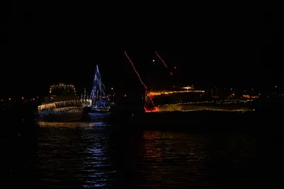 DSC_2489 (Large).JPG